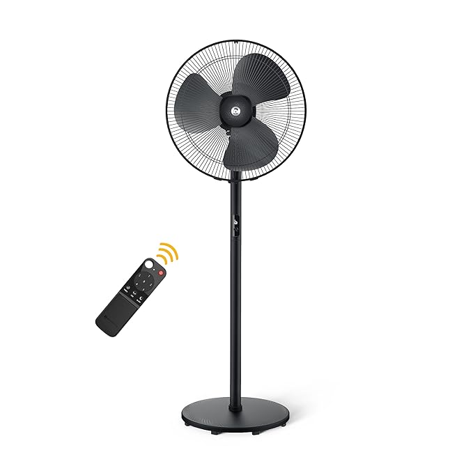 fan