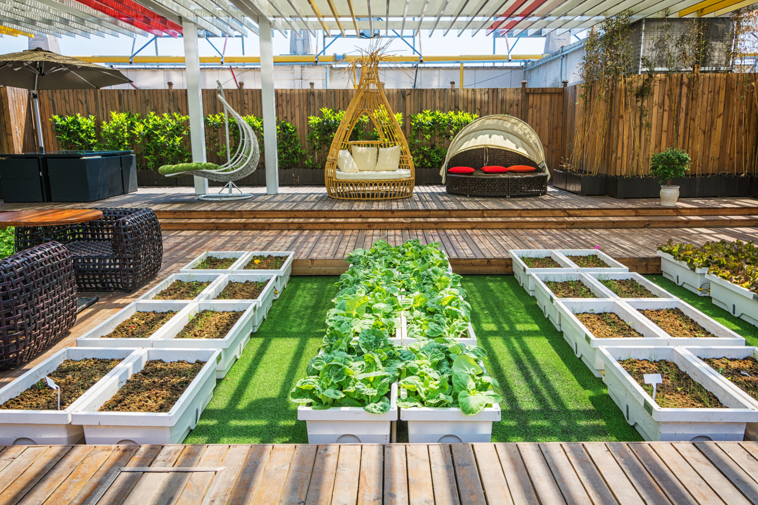 terrace garden