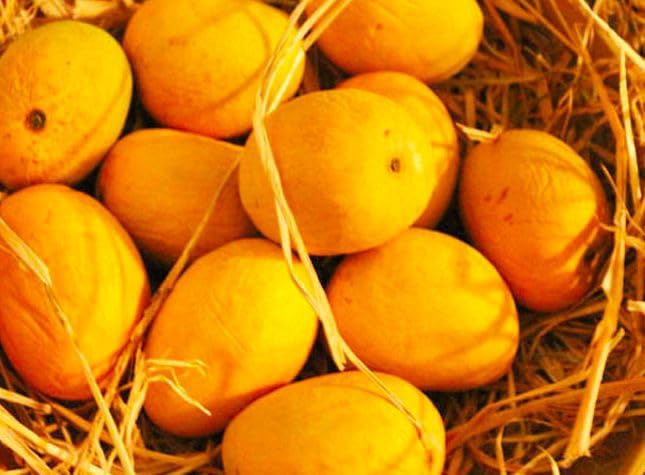 mango