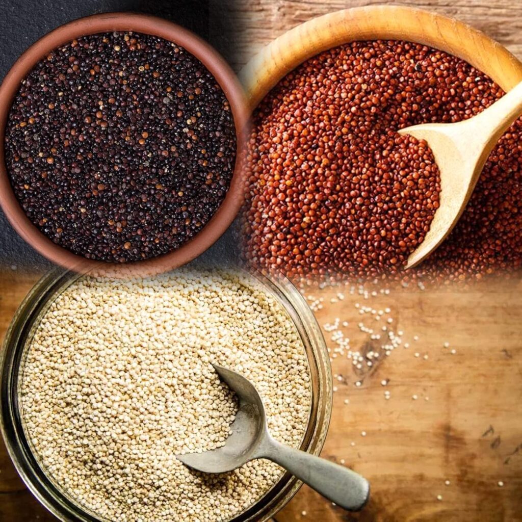 nutrition