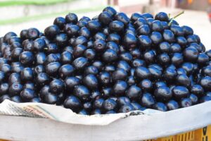 jamun
