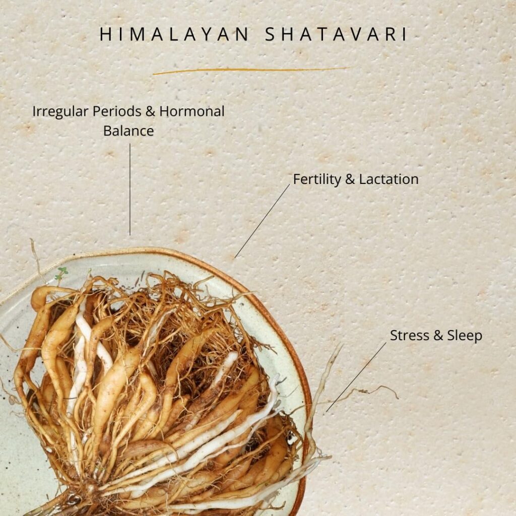 ayurvedic