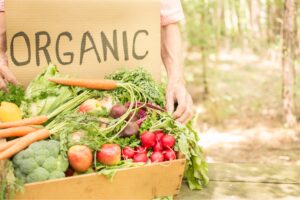 organic food